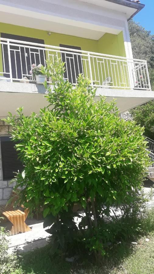 Apartment Dragone Ulcinj Extérieur photo